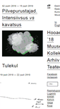 Mobile Screenshot of ekkm.ee